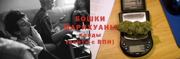 ГАЛЛЮЦИНОГЕННЫЕ ГРИБЫ Бородино