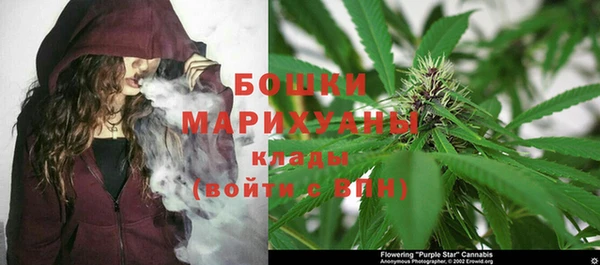 spice Бугульма