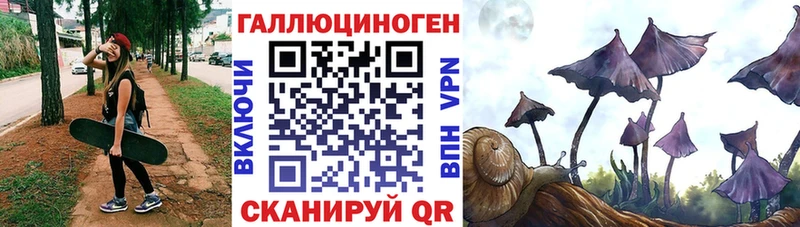 Купить  Сясьстрой  Галлюциногенные грибы MAGIC MUSHROOMS 